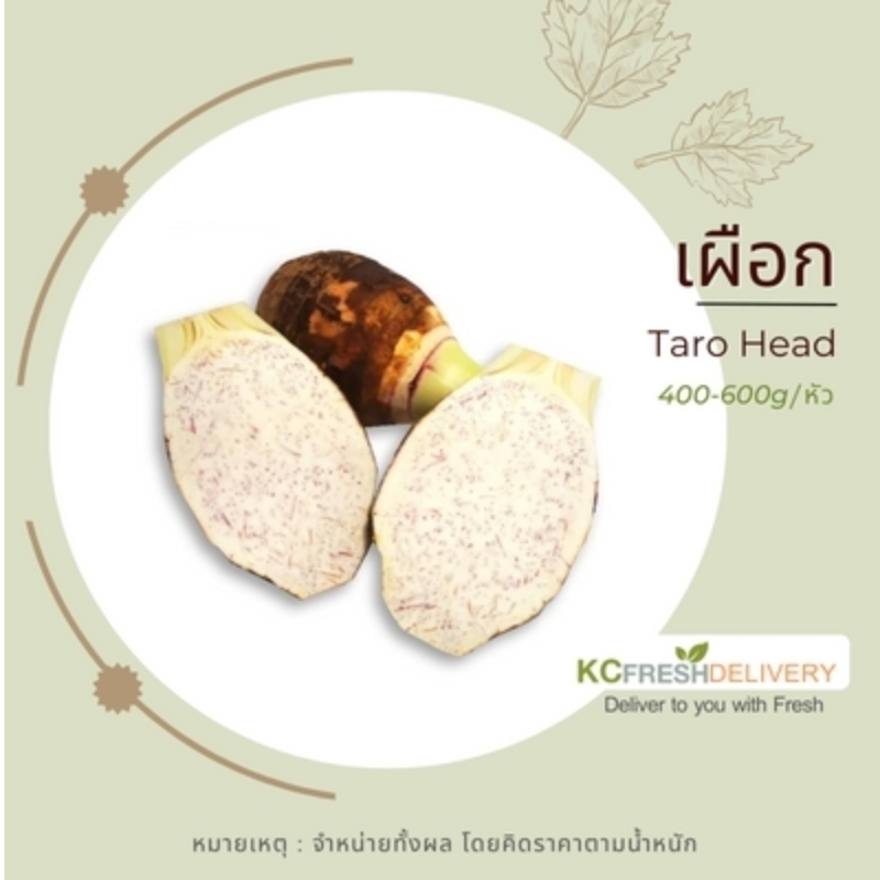 เผือก Taro Main Image